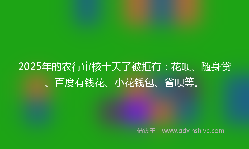 2025年的农行审核十天了被拒有：花呗、随身贷、百度有钱花、小花钱包、省呗等。