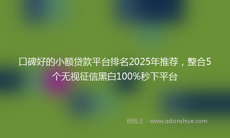 口碑好的小额贷款平台排名2025年推荐，整合5个无视征信黑白100%秒下平台