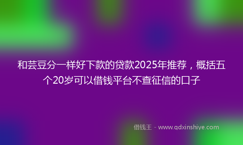 和芸豆分一样好下款的贷款2025年推荐，概括五个20岁可以借钱平台不查征信的口子