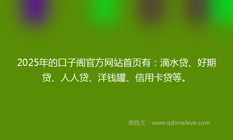 2025年的口子阁官方网站首页有：滴水贷、好期贷、人人贷、洋钱罐、信用卡贷等。