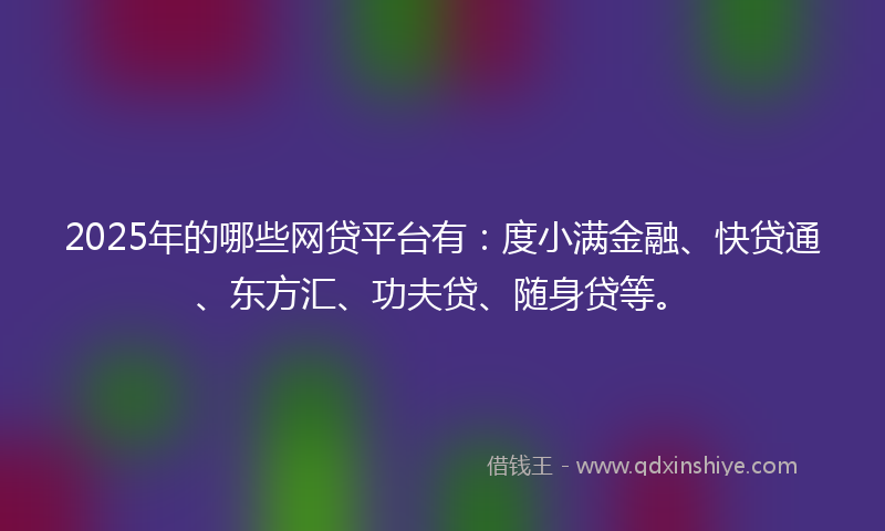 2025年的哪些网贷平台有：度小满金融、快贷通、东方汇、功夫贷、随身贷等。
