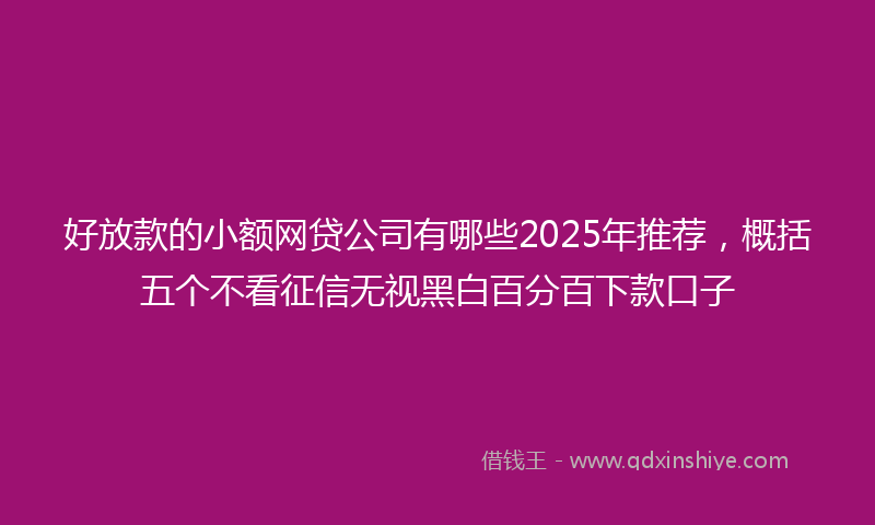 好放款的小额网贷公司有哪些2025年推荐，概括五个不看征信无视黑白百分百下款口子