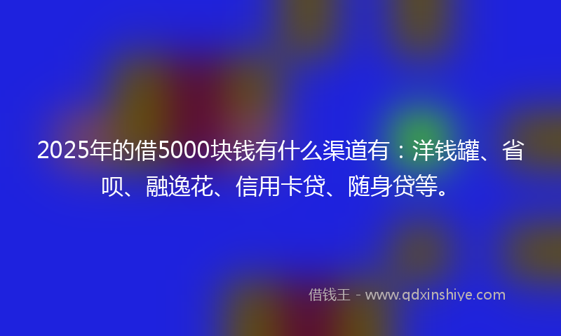 2025年的借5000块钱有什么渠道有：洋钱罐、省呗、融逸花、信用卡贷、随身贷等。