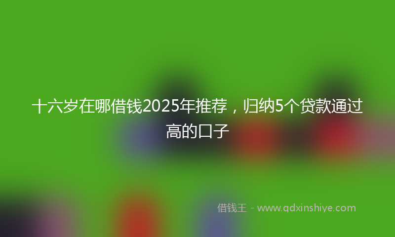 十六岁在哪借钱2025年推荐，归纳5个贷款通过高的口子
