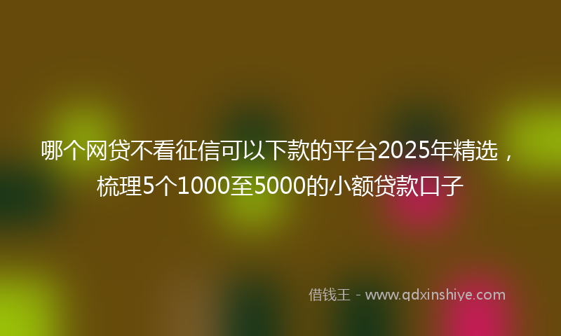 哪个网贷不看征信可以下款的平台2025年精选，梳理5个1000至5000的小额贷款口子