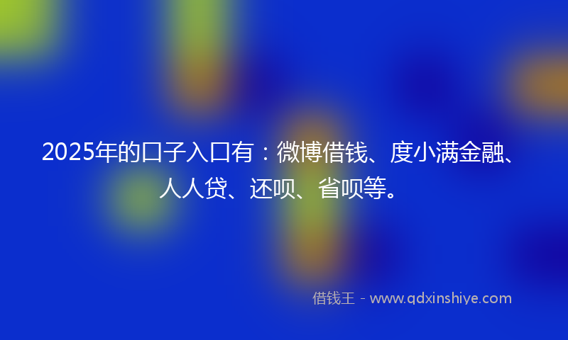 2025年的口子入口有：微博借钱、度小满金融、人人贷、还呗、省呗等。