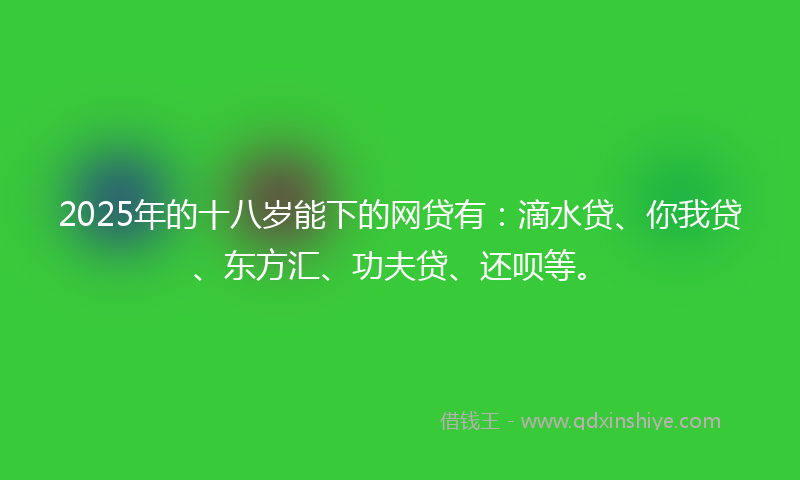 2025年的十八岁能下的网贷有：滴水贷、你我贷、东方汇、功夫贷、还呗等。