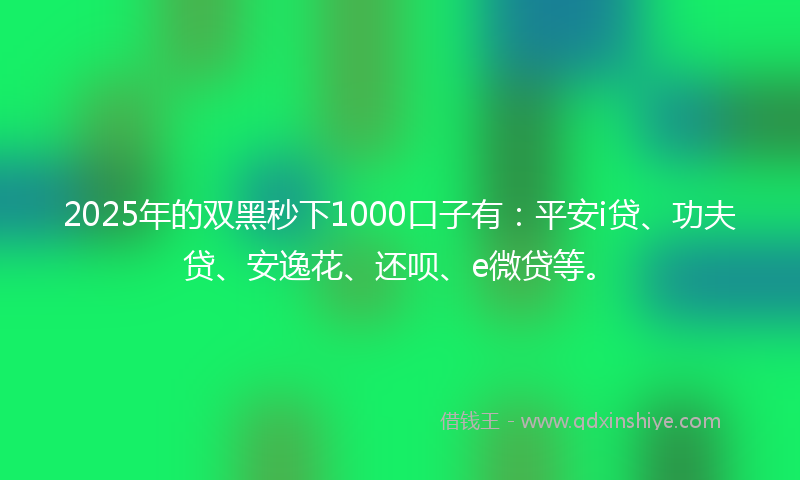 2025年的双黑秒下1000口子有：平安i贷、功夫贷、安逸花、还呗、e微贷等。