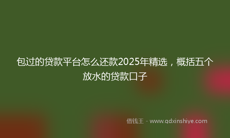 包过的贷款平台怎么还款2025年精选，概括五个放水的贷款口子