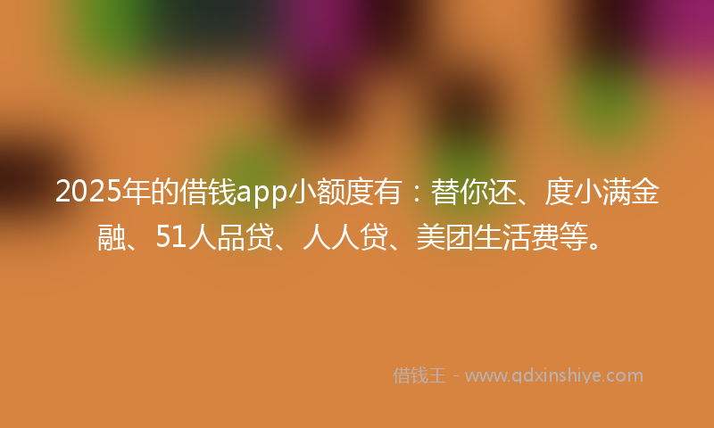 2025年的借钱app小额度有：替你还、度小满金融、51人品贷、人人贷、美团生活费等。