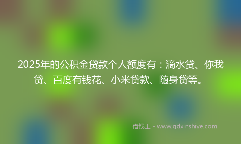 2025年的公积金贷款个人额度有：滴水贷、你我贷、百度有钱花、小米贷款、随身贷等。