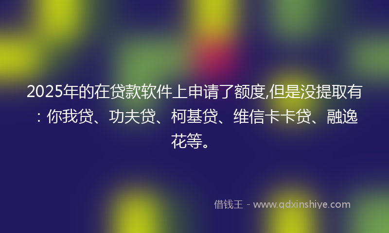 2025年的在贷款软件上申请了额度,但是没提取有：你我贷、功夫贷、柯基贷、维信卡卡贷、融逸花等。