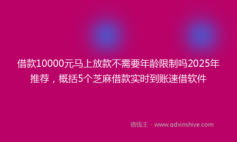 借款10000元马上放款不需要年龄限制吗2025年推荐，概括5个芝麻借款实时到账速借软件