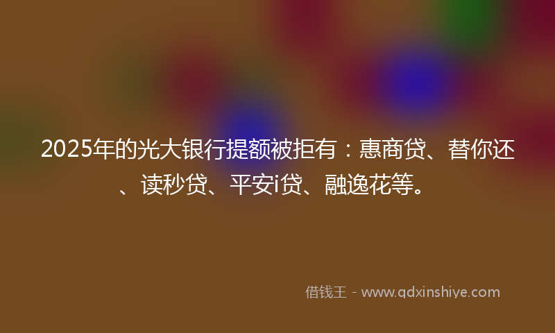2025年的光大银行提额被拒有：惠商贷、替你还、读秒贷、平安i贷、融逸花等。