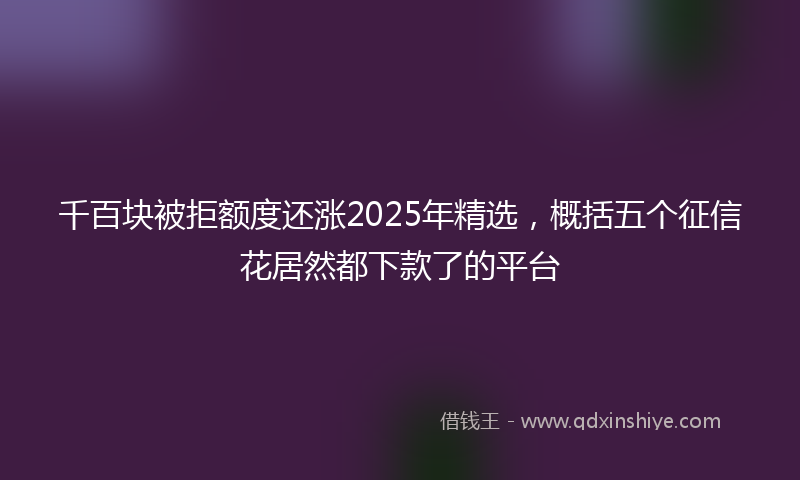 千百块被拒额度还涨2025年精选，概括五个征信花居然都下款了的平台