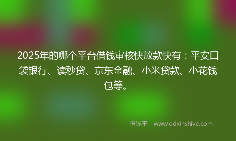2025年的哪个平台借钱审核快放款快有：平安口袋银行、读秒贷、京东金融、小米贷款、小花钱包等。