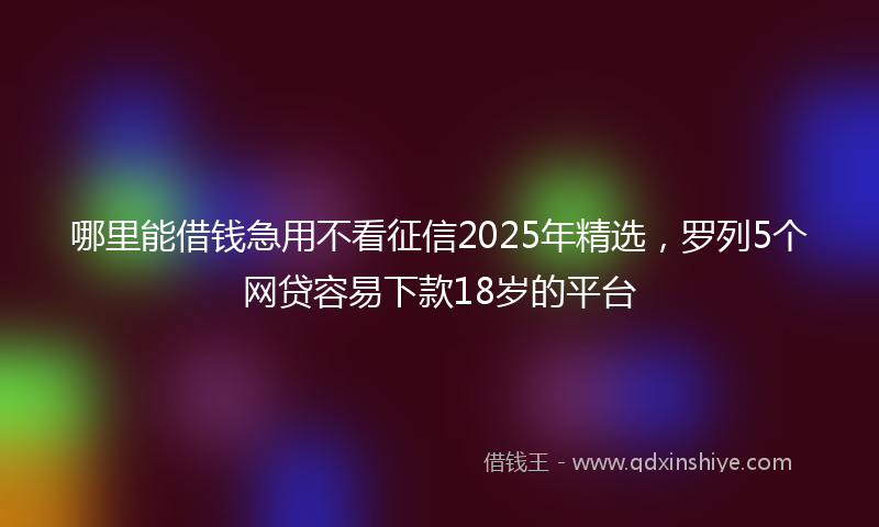 哪里能借钱急用不看征信2025年精选，罗列5个网贷容易下款18岁的平台