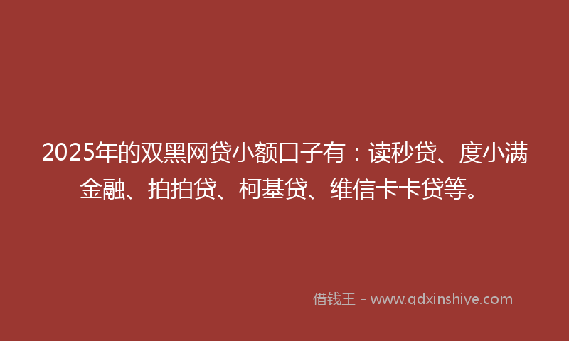 2025年的双黑网贷小额口子有：读秒贷、度小满金融、拍拍贷、柯基贷、维信卡卡贷等。