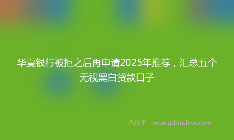 华夏银行被拒之后再申请2025年推荐，汇总五个无视黑白贷款口子
