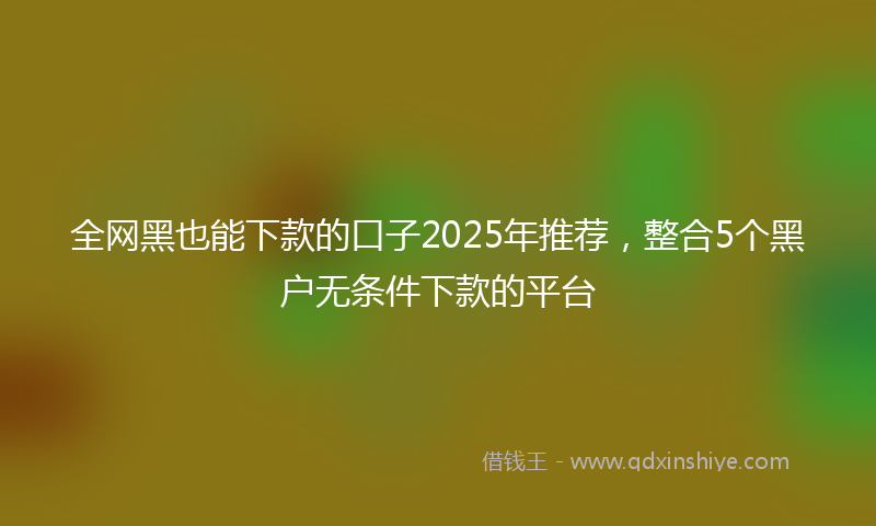 全网黑也能下款的口子2025年推荐，整合5个黑户无条件下款的平台