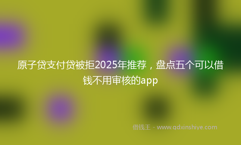 原子贷支付贷被拒2025年推荐，盘点五个可以借钱不用审核的app