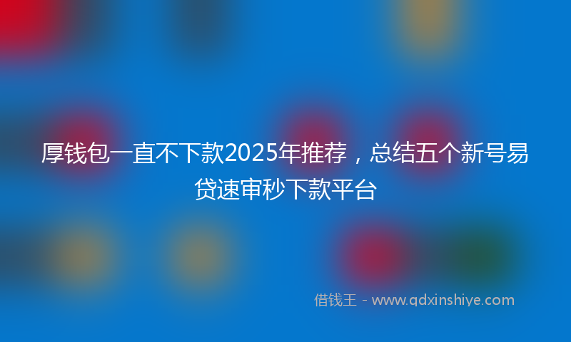 厚钱包一直不下款2025年推荐，总结五个新号易贷速审秒下款平台