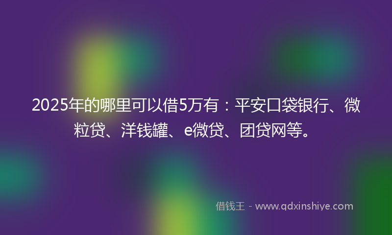 2025年的哪里可以借5万有：平安口袋银行、微粒贷、洋钱罐、e微贷、团贷网等。