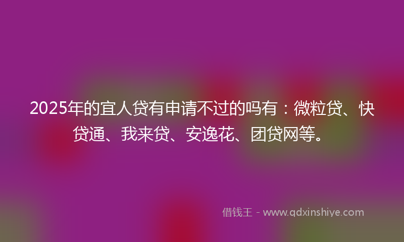 2025年的宜人贷有申请不过的吗有：微粒贷、快贷通、我来贷、安逸花、团贷网等。