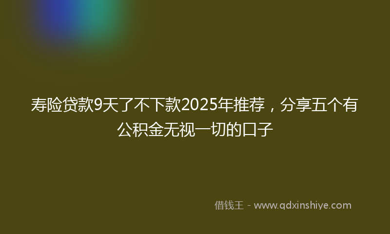 寿险贷款9天了不下款2025年推荐，分享五个有公积金无视一切的口子