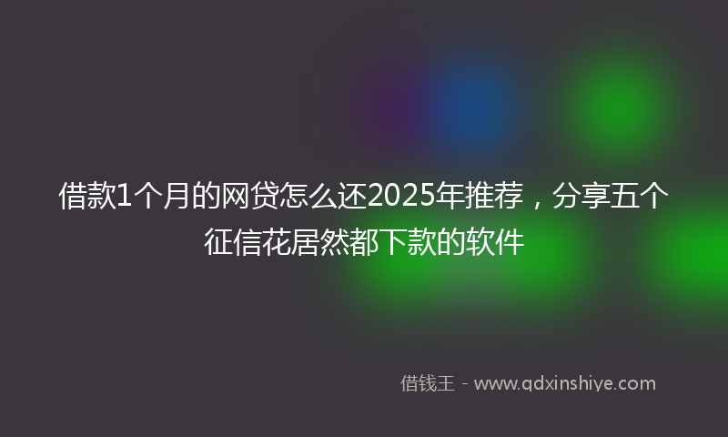 借款1个月的网贷怎么还2025年推荐，分享五个征信花居然都下款的软件