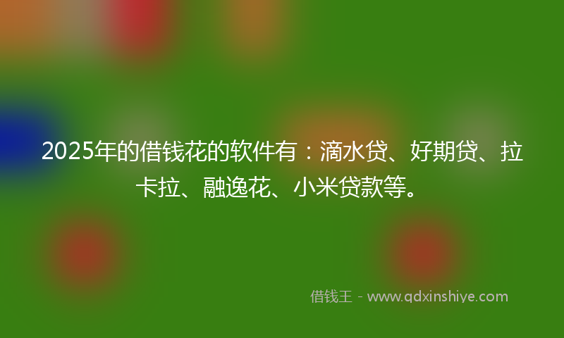 2025年的借钱花的软件有：滴水贷、好期贷、拉卡拉、融逸花、小米贷款等。