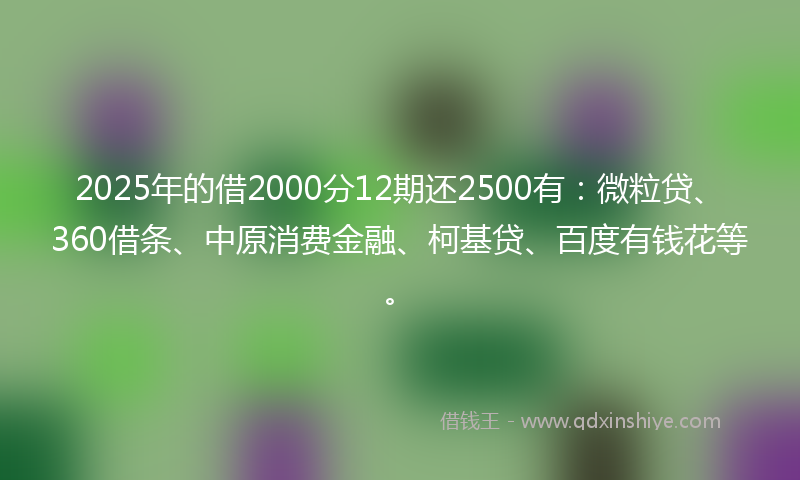 2025年的借2000分12期还2500有：微粒贷、360借条、中原消费金融、柯基贷、百度有钱花等。