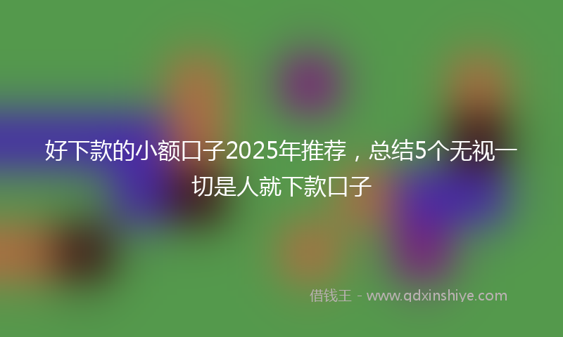 好下款的小额口子2025年推荐，总结5个无视一切是人就下款口子