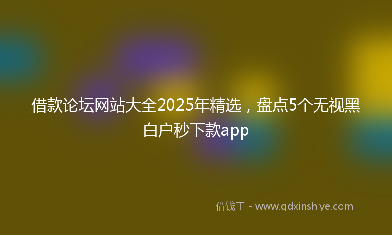 借款论坛网站大全2025年精选，盘点5个无视黑白户秒下款app