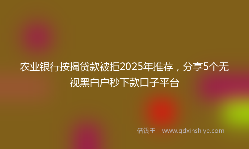 农业银行按揭贷款被拒2025年推荐，分享5个无视黑白户秒下款口子平台
