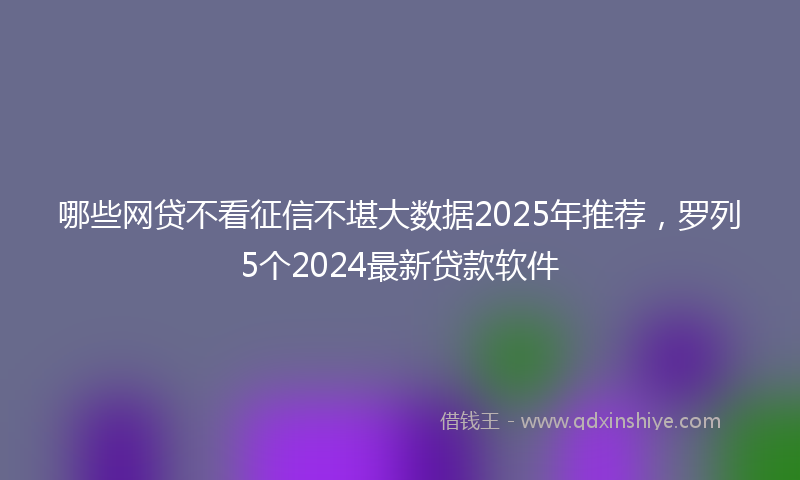 哪些网贷不看征信不堪大数据2025年推荐，罗列5个2024最新贷款软件