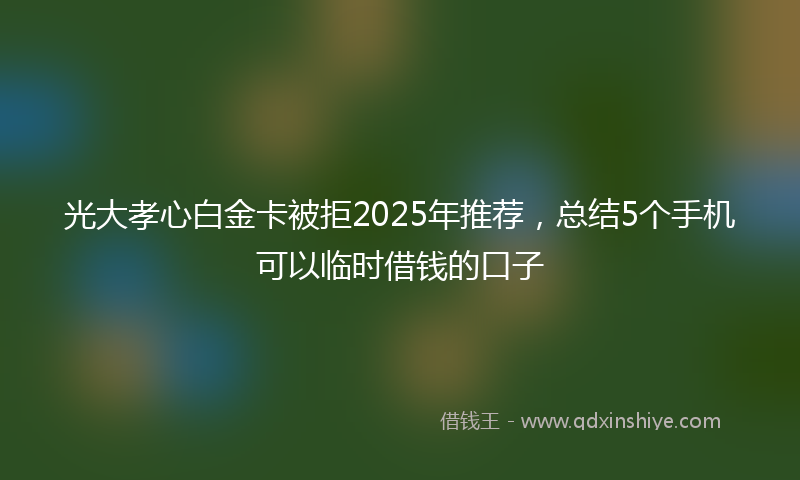 光大孝心白金卡被拒2025年推荐，总结5个手机可以临时借钱的口子