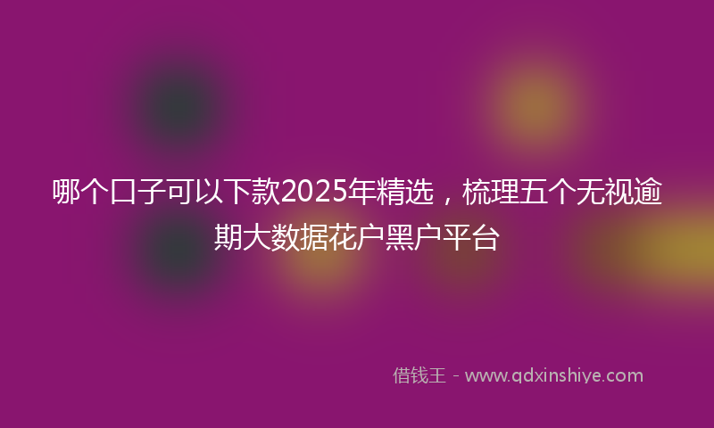 哪个口子可以下款2025年精选，梳理五个无视逾期大数据花户黑户平台