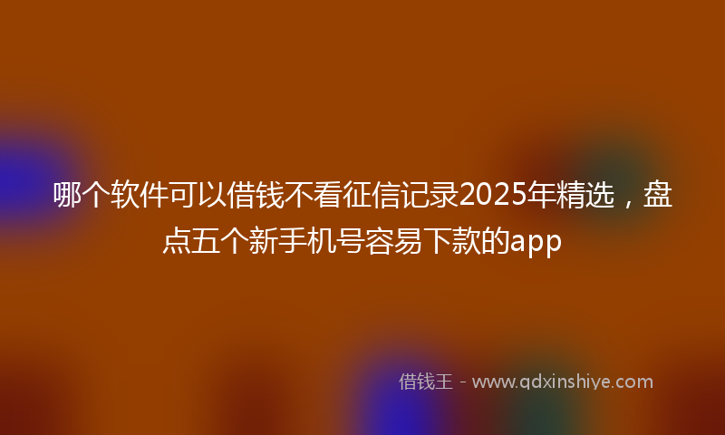 哪个软件可以借钱不看征信记录2025年精选，盘点五个新手机号容易下款的app