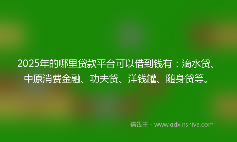 2025年的哪里贷款平台可以借到钱有：滴水贷、中原消费金融、功夫贷、洋钱罐、随身贷等。