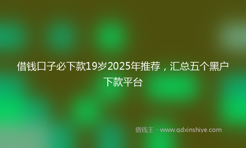 借钱口子必下款19岁2025年推荐，汇总五个黑户下款平台
