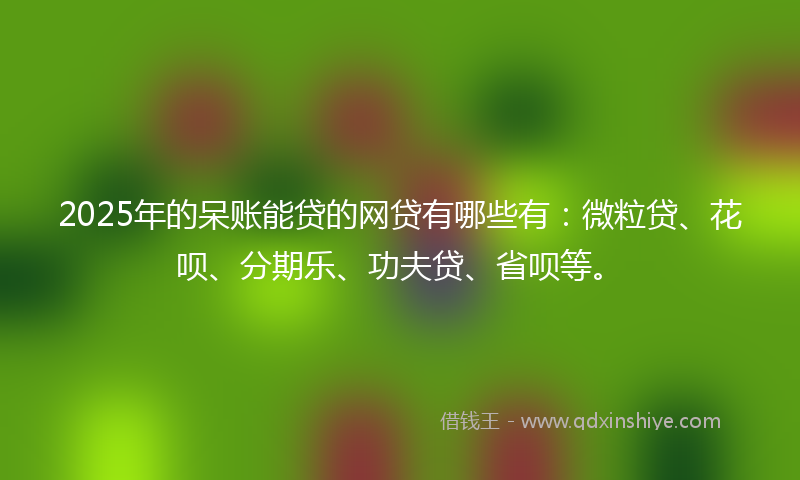 2025年的呆账能贷的网贷有哪些有：微粒贷、花呗、分期乐、功夫贷、省呗等。