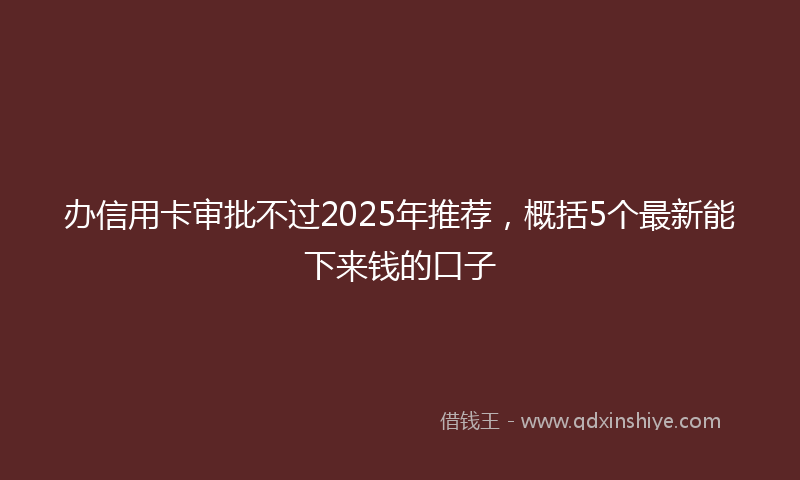 办信用卡审批不过2025年推荐，概括5个最新能下来钱的口子
