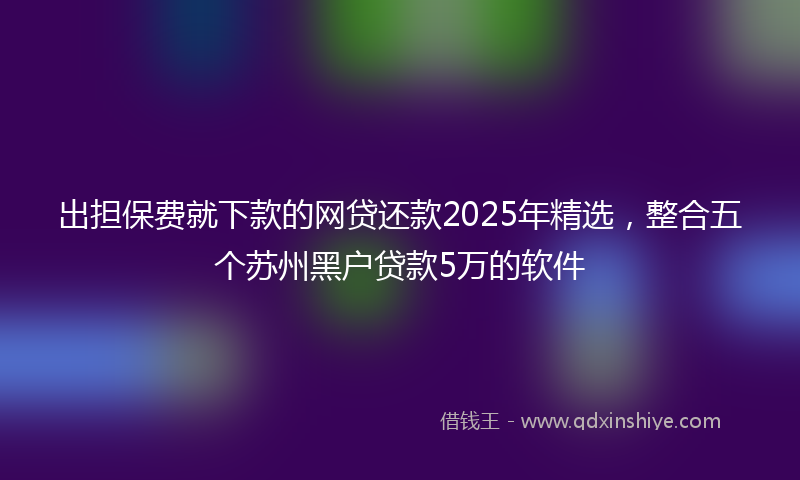 出担保费就下款的网贷还款2025年精选，整合五个苏州黑户贷款5万的软件
