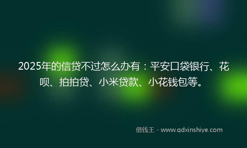 2025年的信贷不过怎么办有：平安口袋银行、花呗、拍拍贷、小米贷款、小花钱包等。