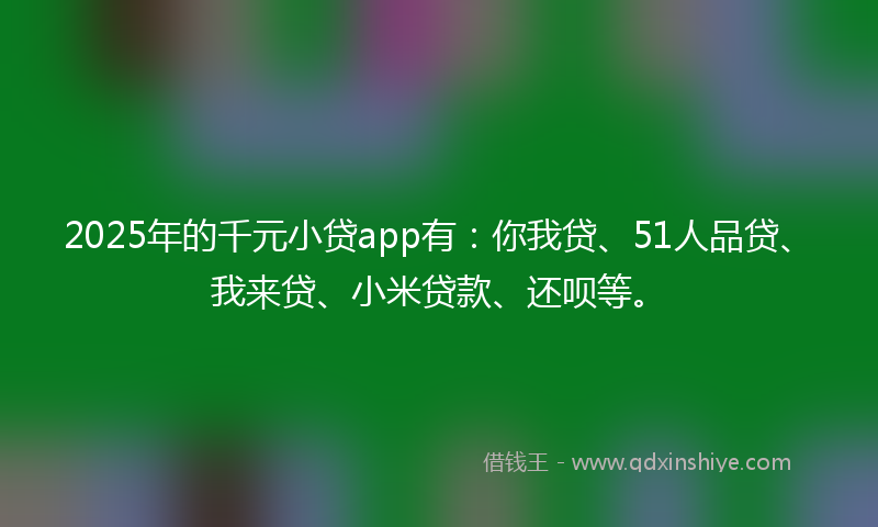 2025年的千元小贷app有：你我贷、51人品贷、我来贷、小米贷款、还呗等。