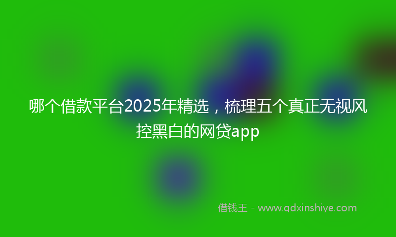 哪个借款平台2025年精选，梳理五个真正无视风控黑白的网贷app