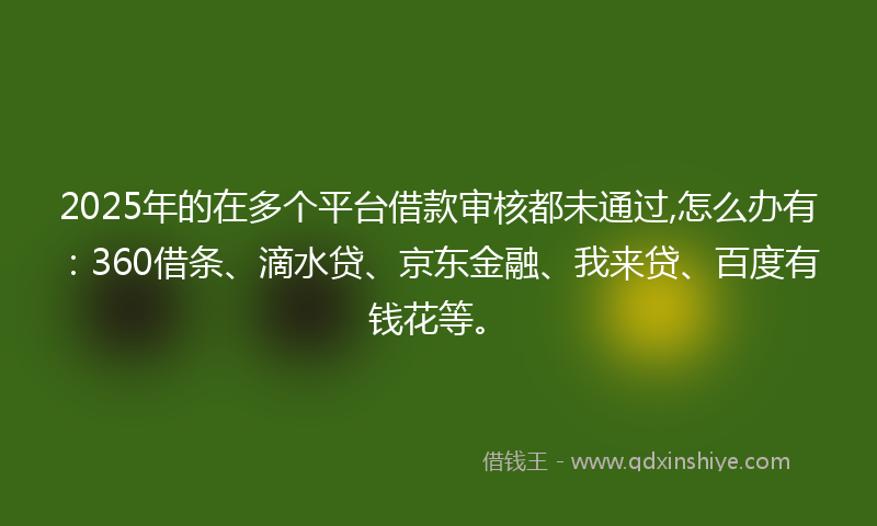 2025年的在多个平台借款审核都未通过,怎么办有：360借条、滴水贷、京东金融、我来贷、百度有钱花等。