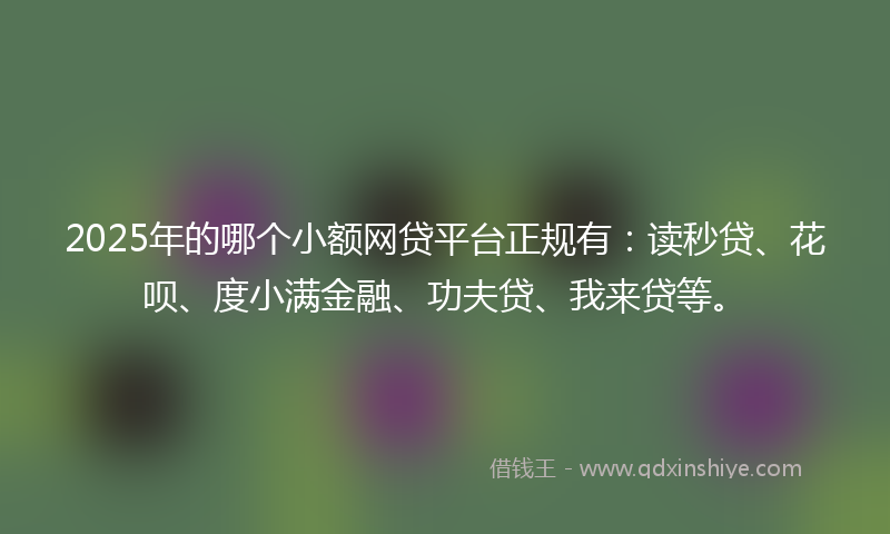 2025年的哪个小额网贷平台正规有：读秒贷、花呗、度小满金融、功夫贷、我来贷等。