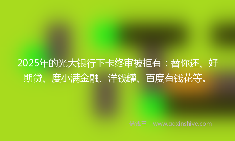 2025年的光大银行下卡终审被拒有：替你还、好期贷、度小满金融、洋钱罐、百度有钱花等。